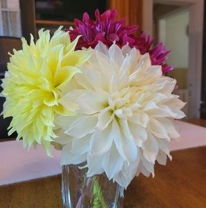 Meet your Posher, Denise